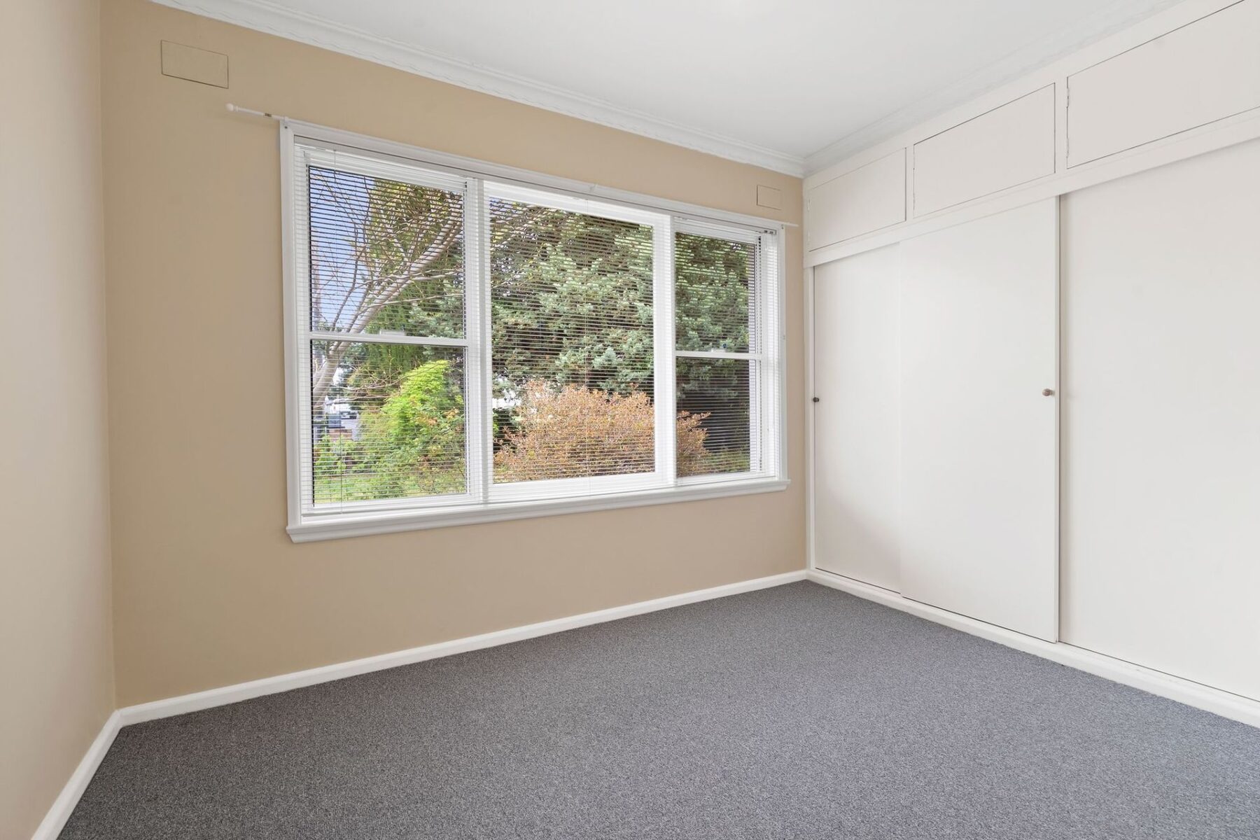 Property: 59 Wilmot Street, GOULBURN, NSW, 2580 photo-6