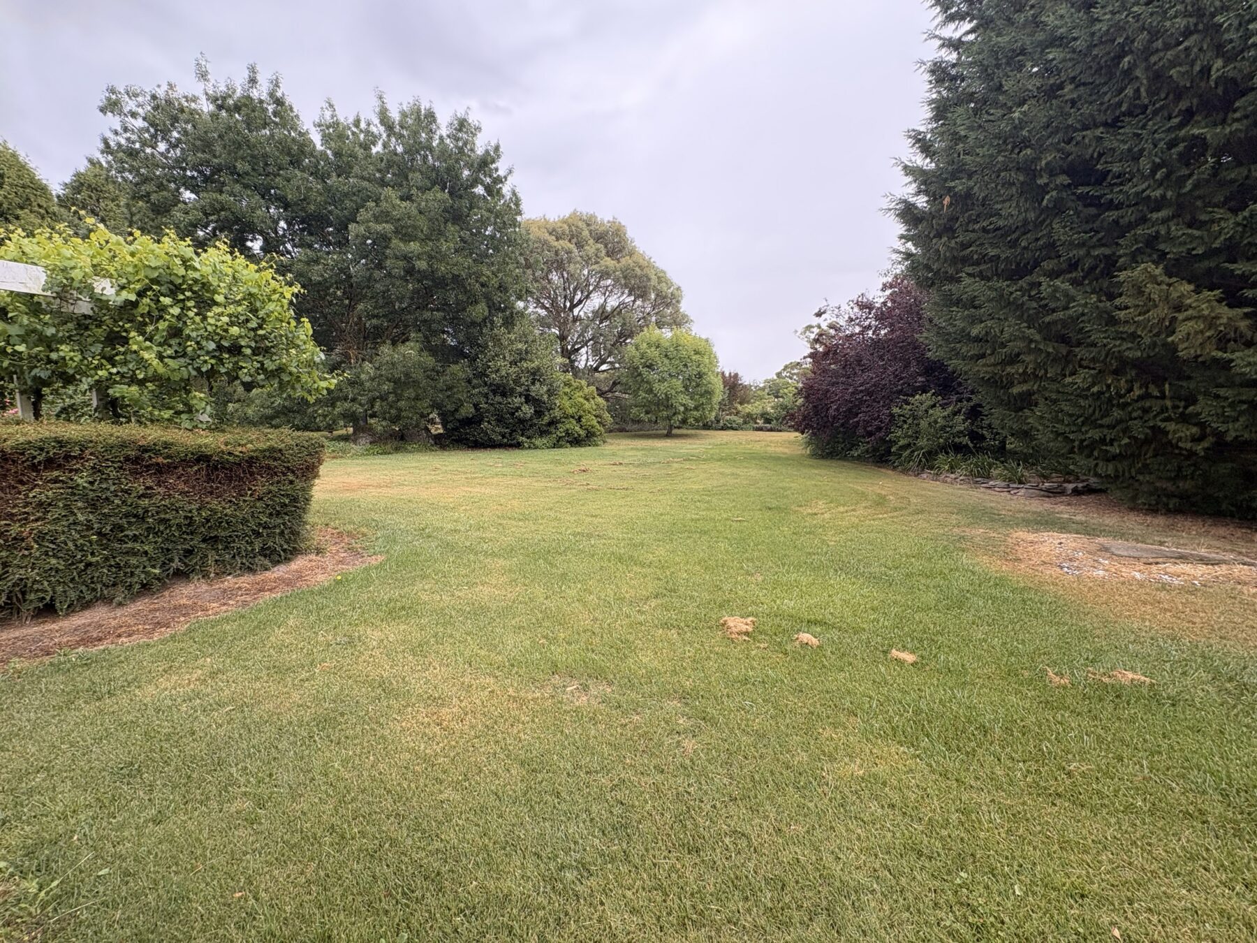 Rental: Laggan, NSW, 2583 photo-29