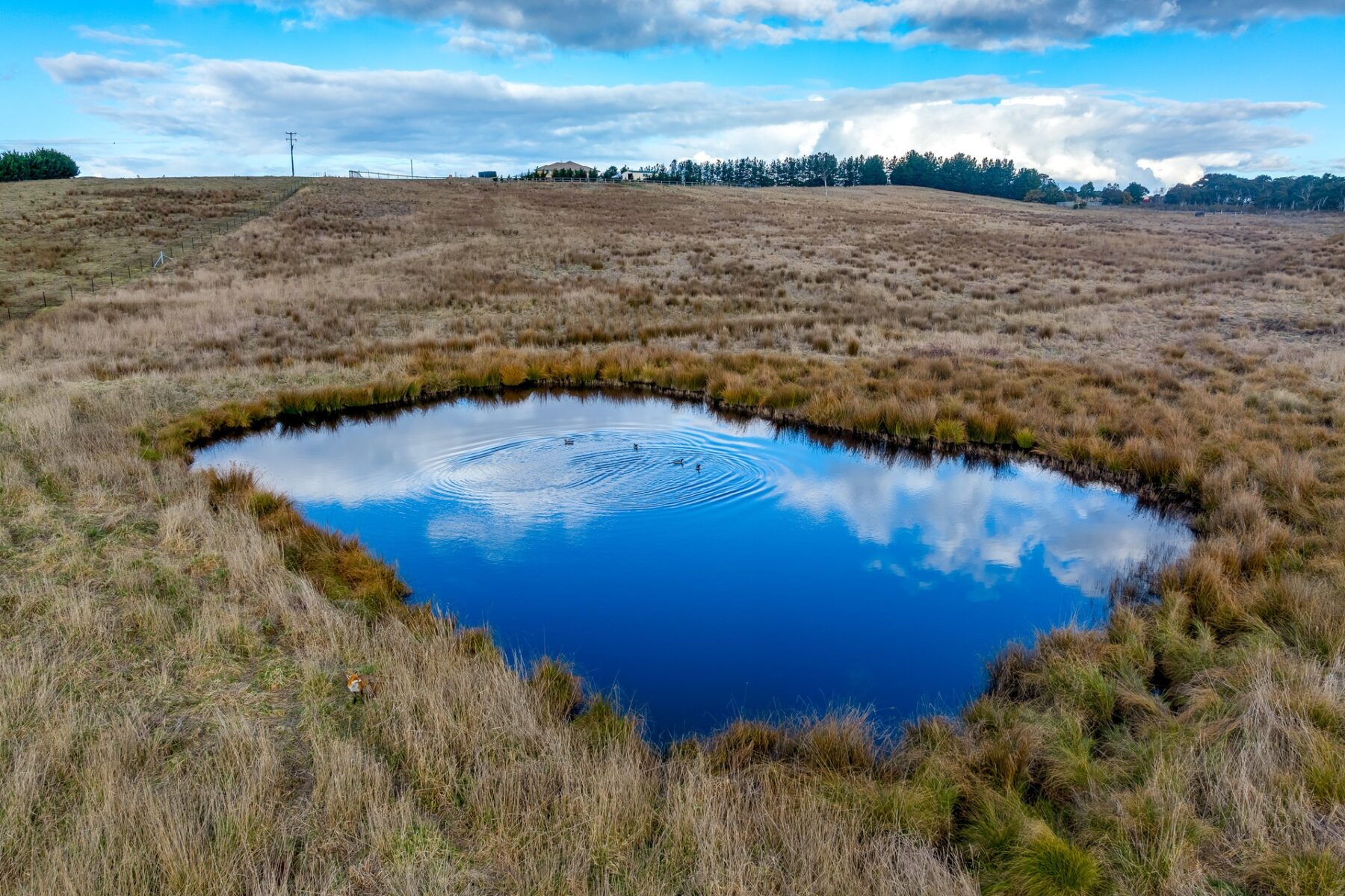 Rural: 21 Blighs Lane, Wayo, Via, GOULBURN, NSW, 2580 photo-12