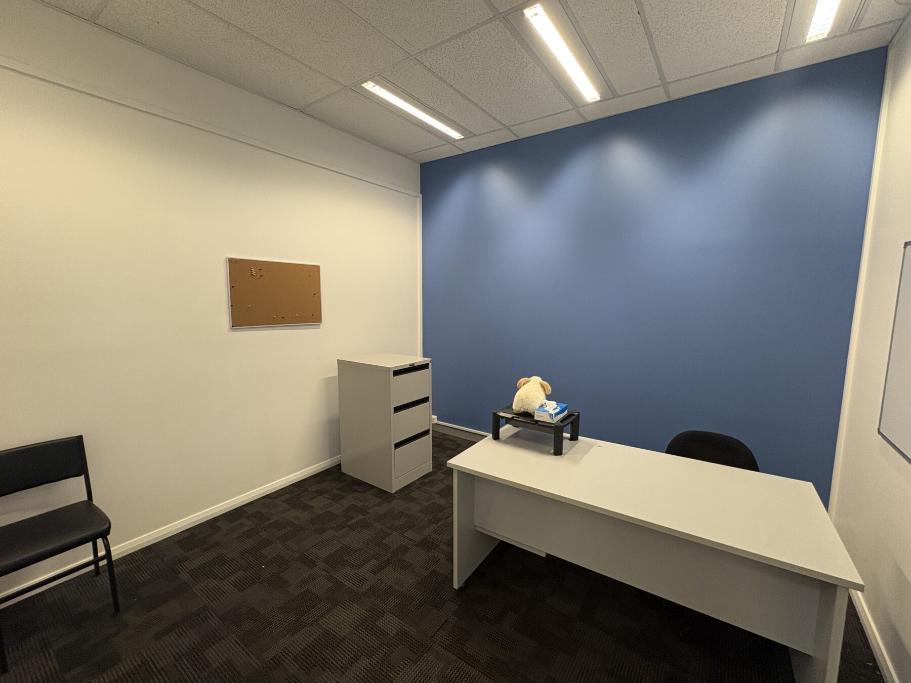 Commercial: A/258-262 Auburn Street, Goulburn, NSW, 2580 photo-6