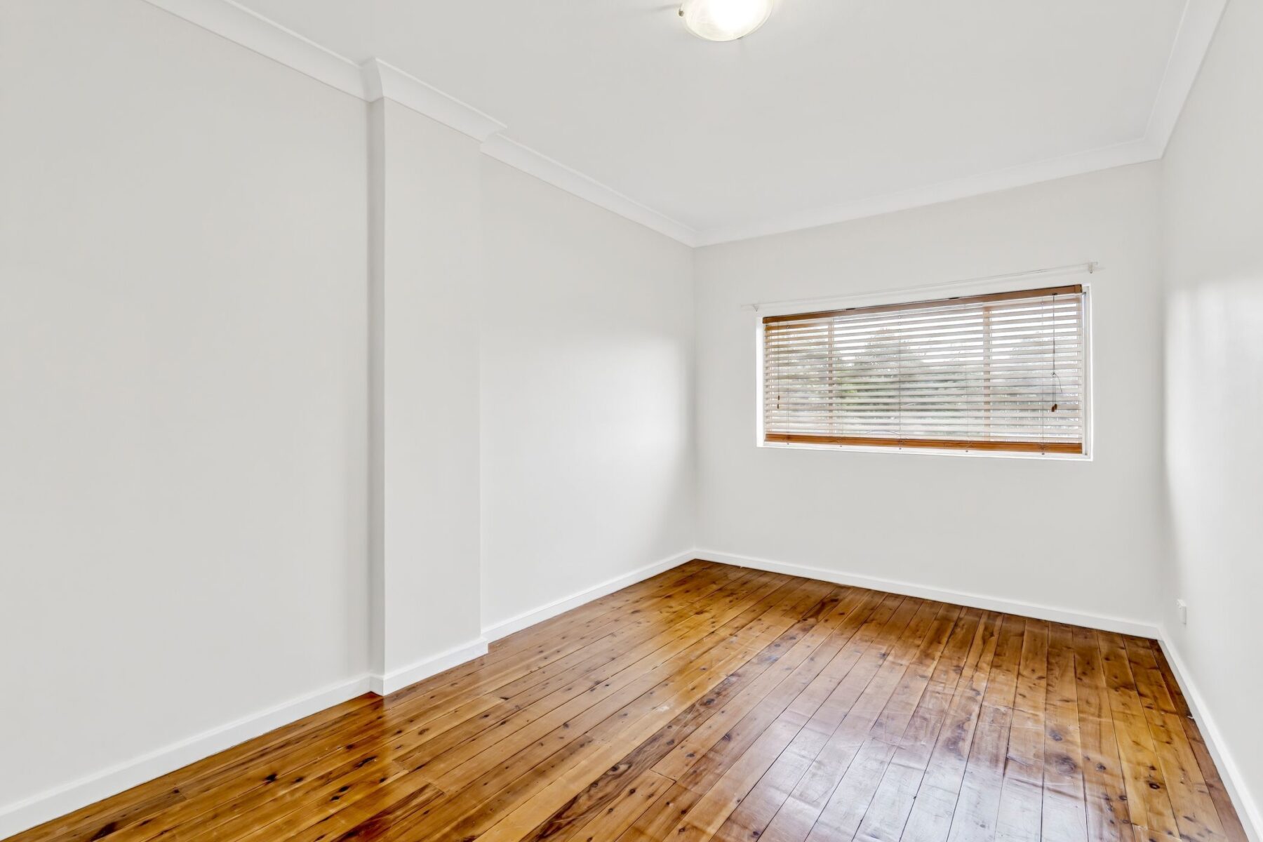 Property: 37 Garfield Avenue, Goulburn, NSW, 2580 photo-11