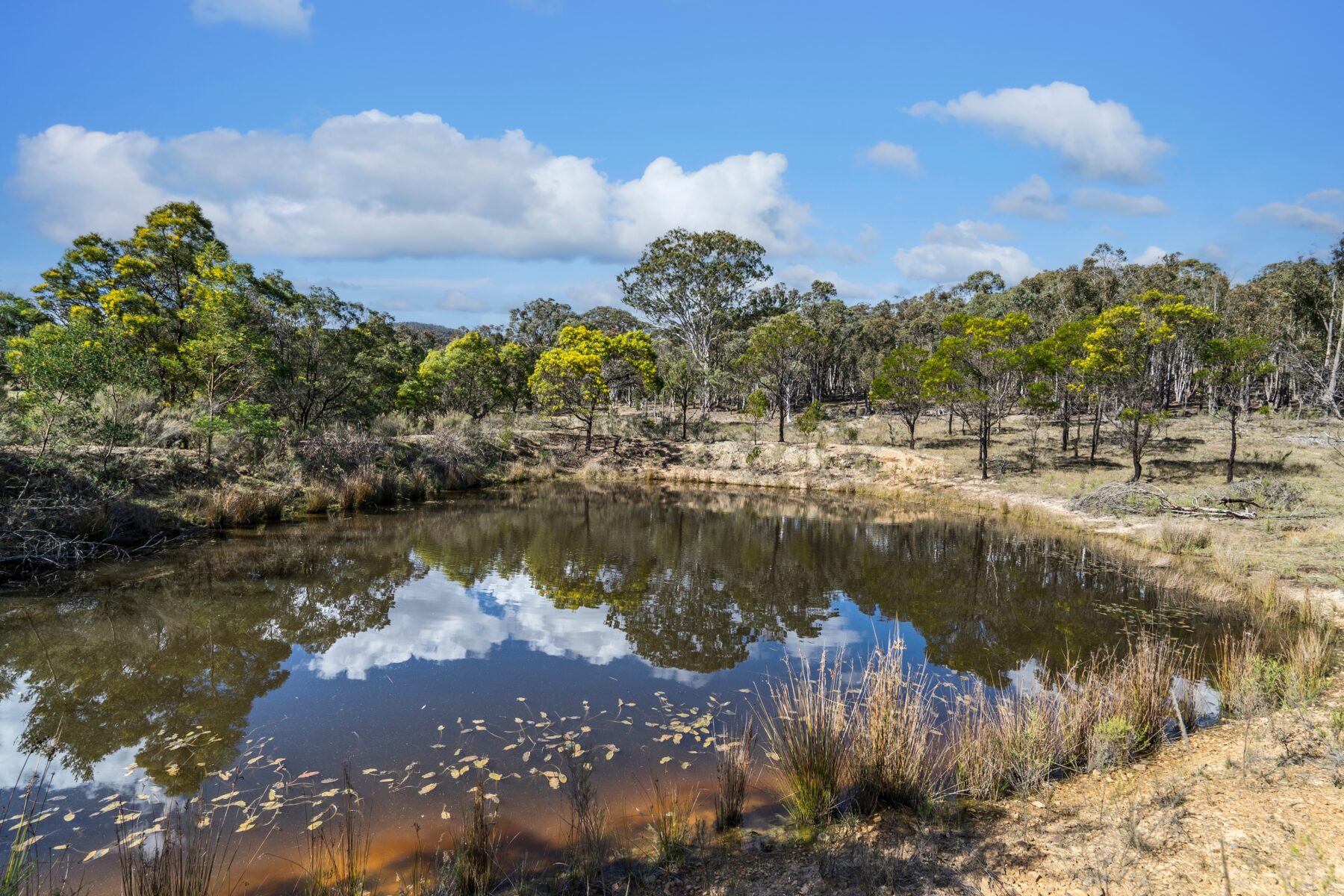 Rural: 654 Rosemont Road, Boxers Creek, via, Goulburn, NSW, 2580 photo-2