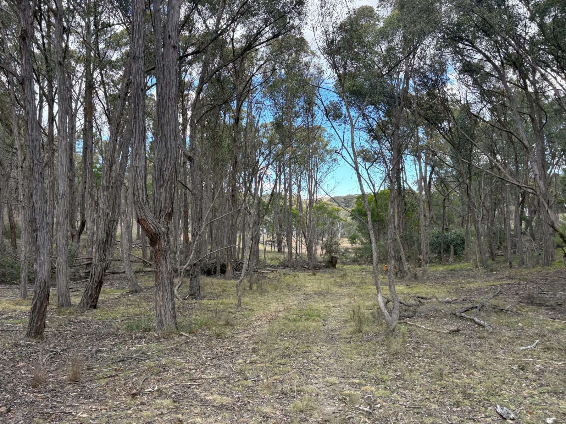 Rural: 654 Rosemont Road, Boxers Creek, via, Goulburn, NSW, 2580 photo-14