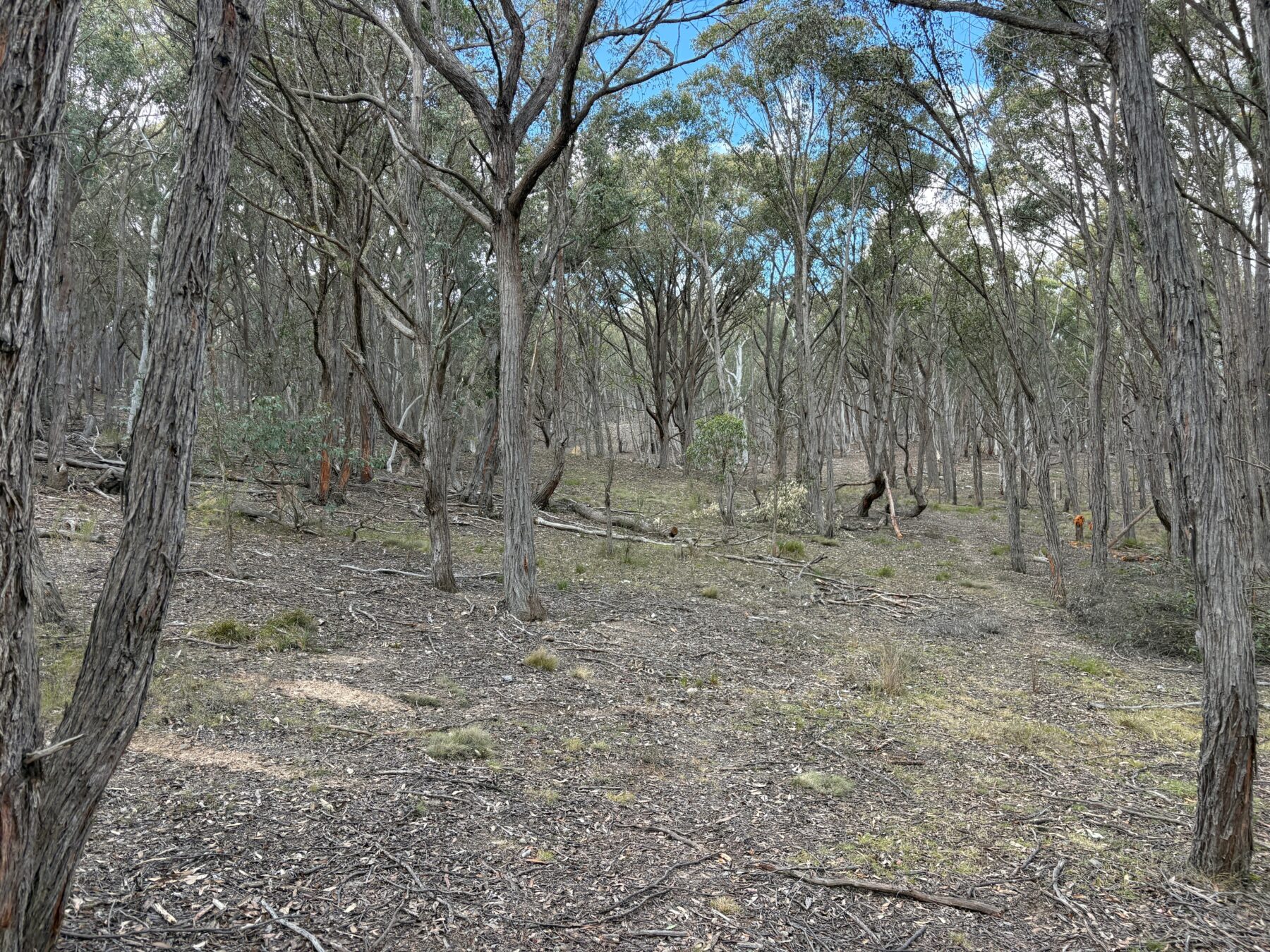 Rural: 654 Rosemont Road, Boxers Creek, via, Goulburn, NSW, 2580 photo-15