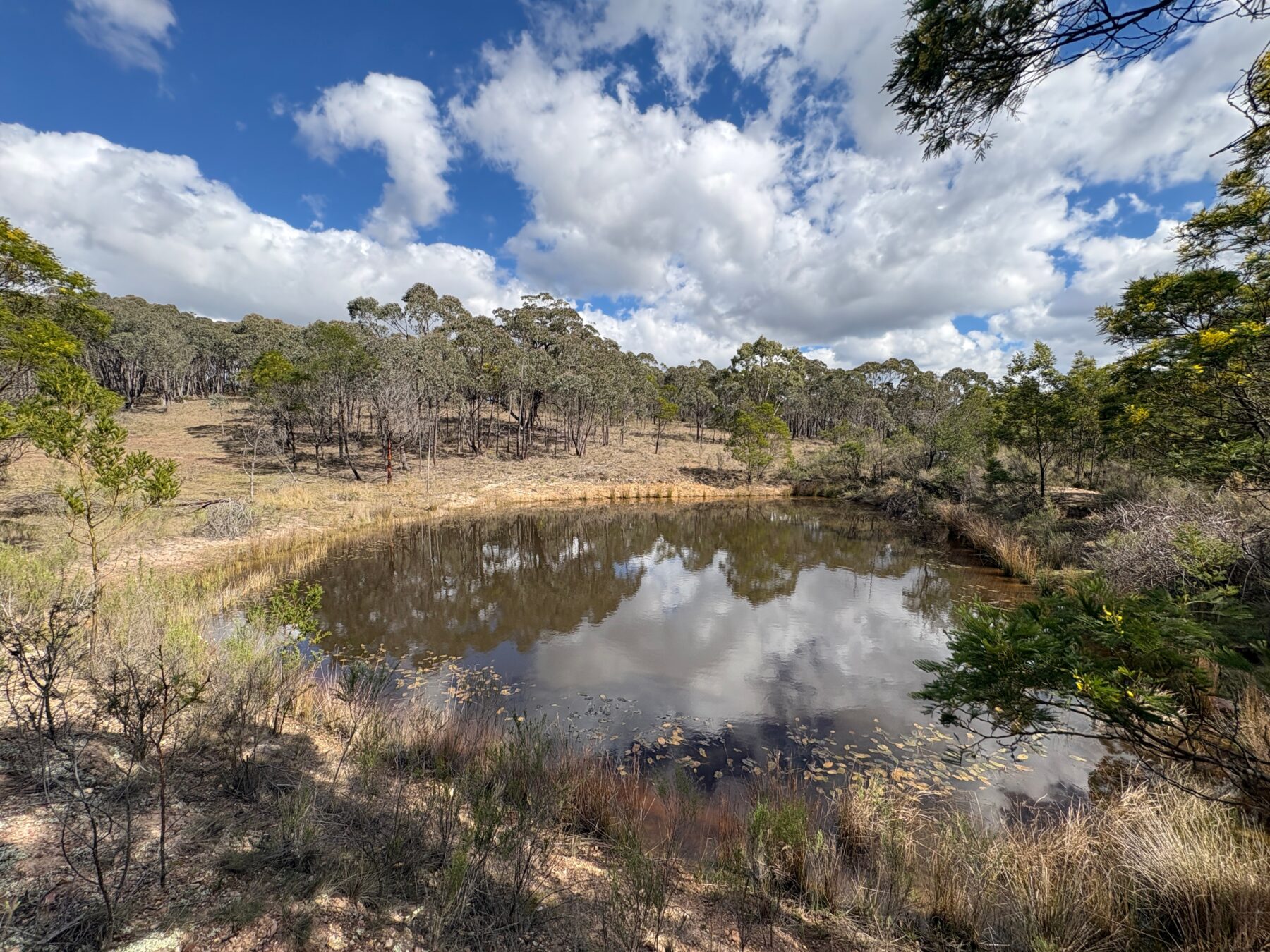 Rural: 654 Rosemont Road, Boxers Creek, via, Goulburn, NSW, 2580 photo-17