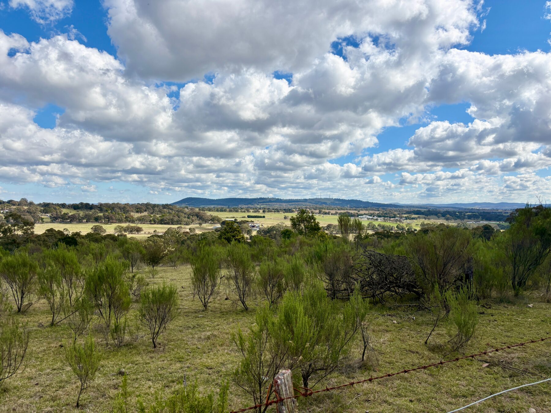 Rural: 654 Rosemont Road, Boxers Creek, via, Goulburn, NSW, 2580 photo-18